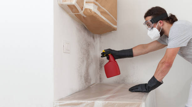 Professional Crawl Space Mold Remediation technician working in Totowa, NJ