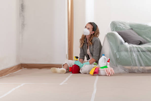 Reliable Crawl Space Mold Remediation contractor in Totowa, NJ by Mold Remediation HQ