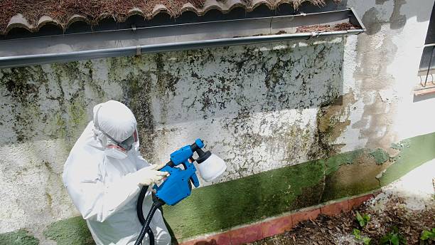 Top rated local Crawl Space Mold Remediation specialists in Totowa, NJ